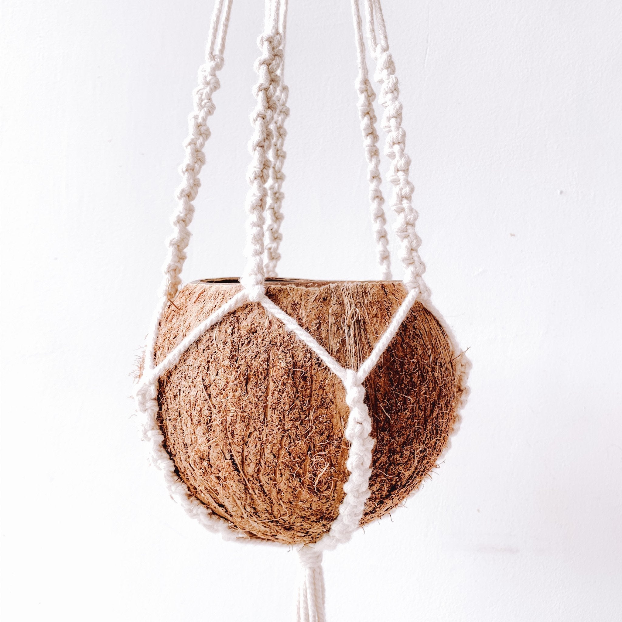 shell macrame plant hanger Macrame + Coconut Plant Hanger - Arum