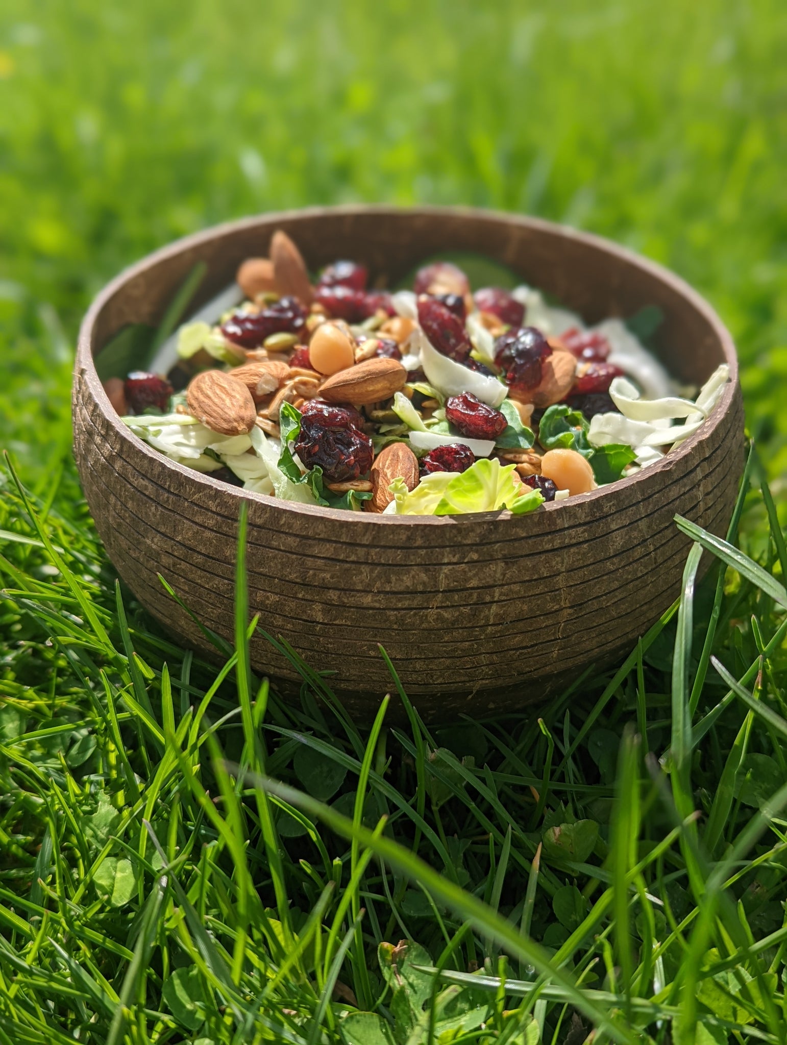 Coconut Shell Salad Bowls | Natural Bowls | Plastic-Free Bowls