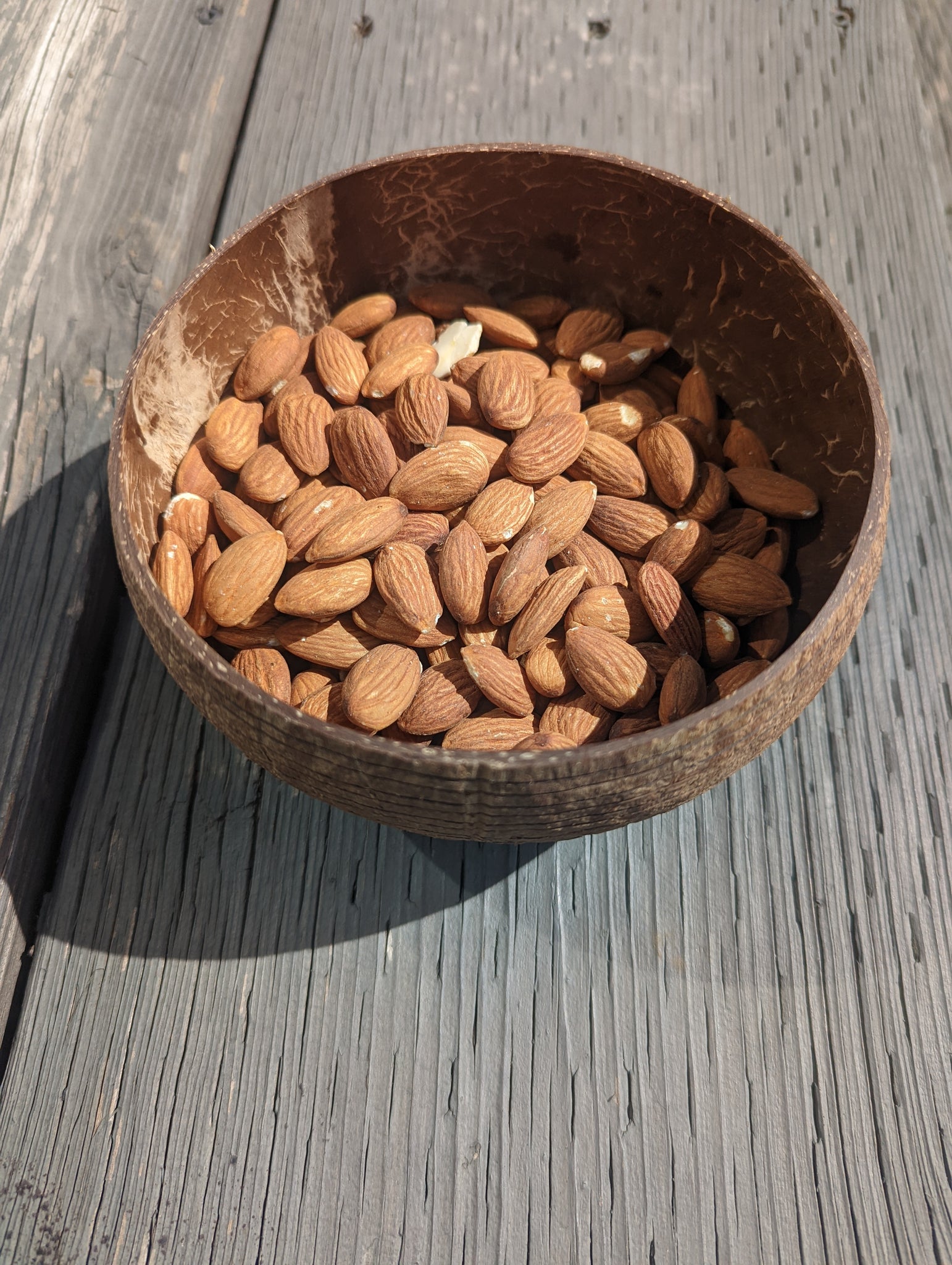 Coconut Shell Snack Bowls | Natural Bowls | Plastic-Free Bowls