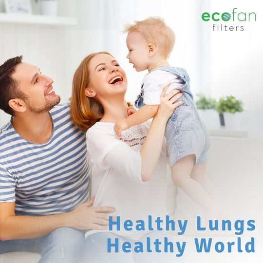 Shop the World's First Eco-Friendly Air Purifier EcoFan Filter!