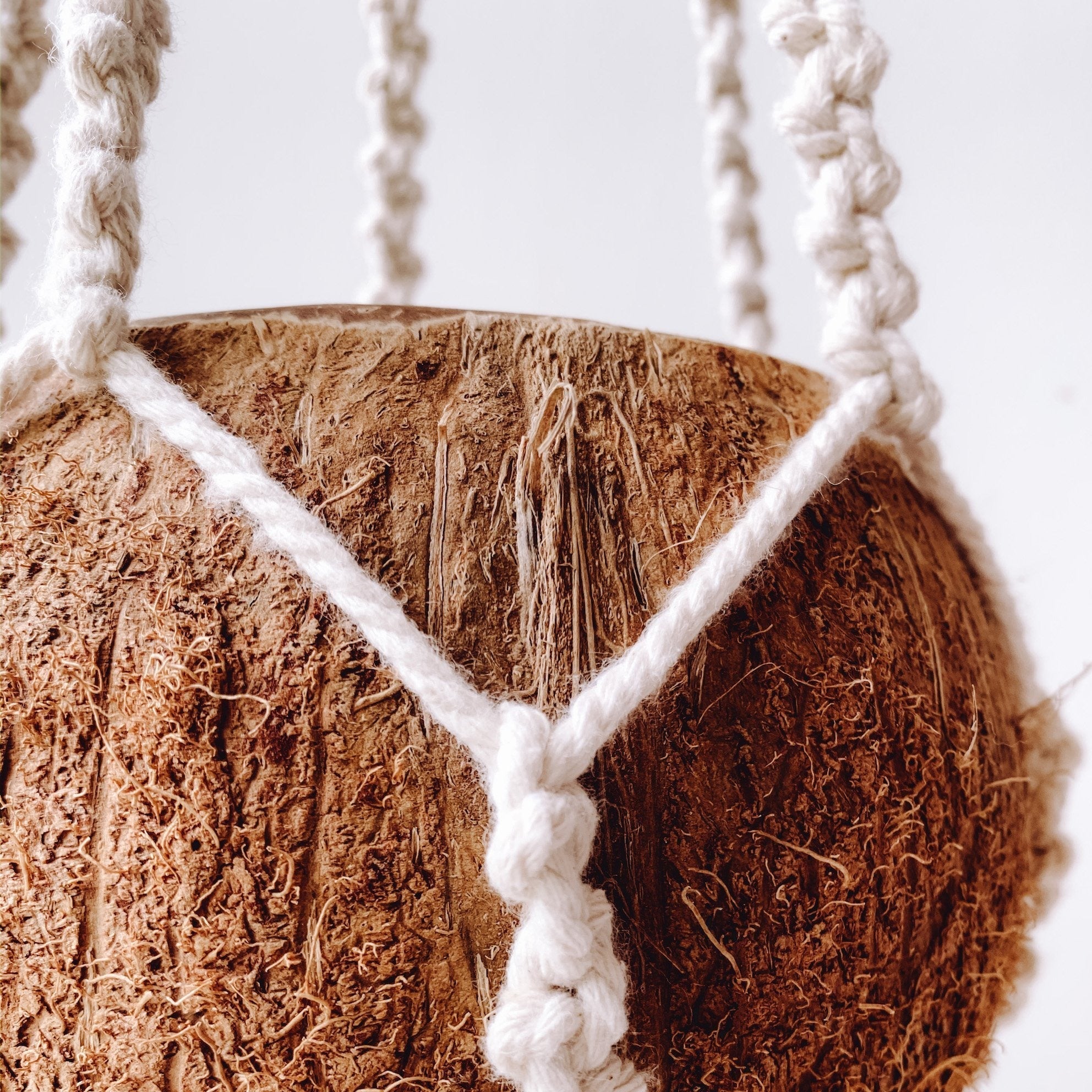 shell macrame plant hanger Macrame + Coconut Plant Hanger - Arum