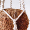 Macrame + Coconut Plant Hanger - Arum