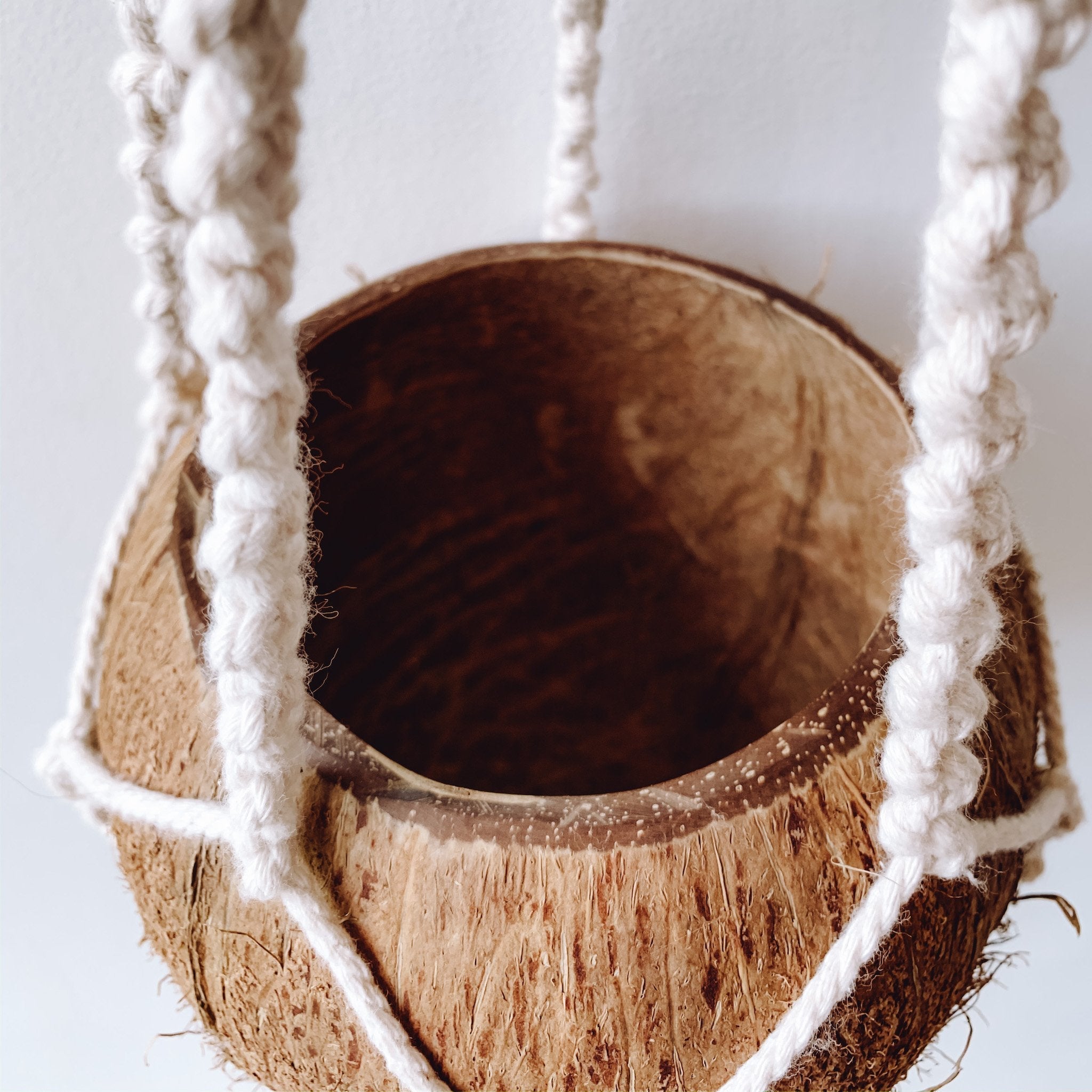 Macrame + Coconut Plant Hanger - Arum