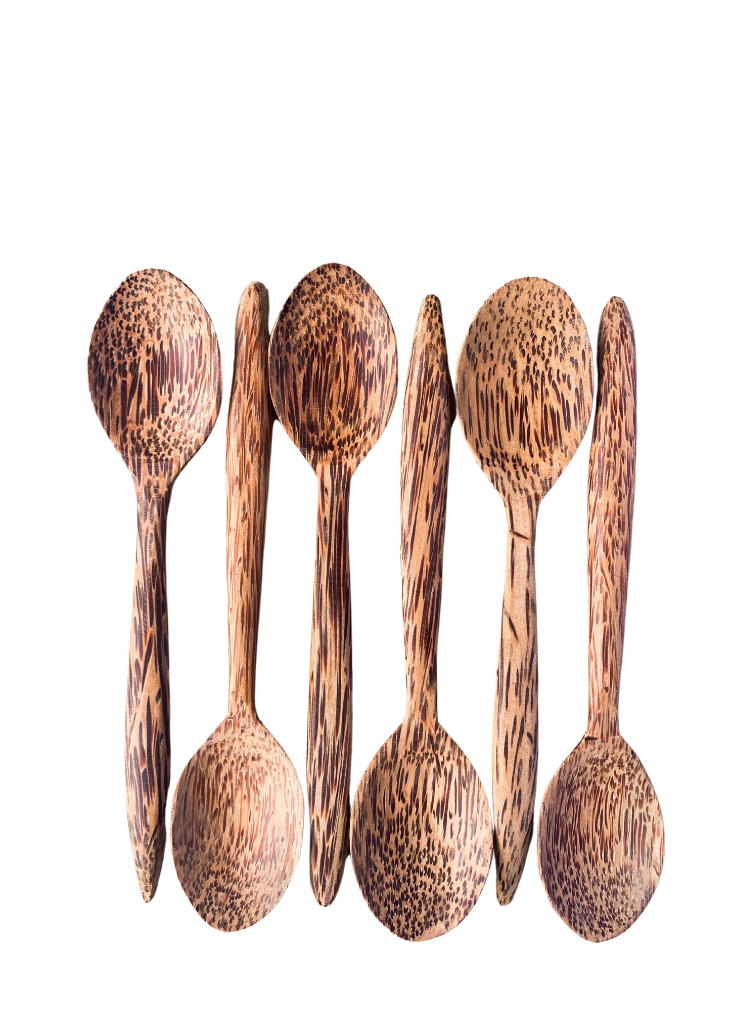 coconut spoon set