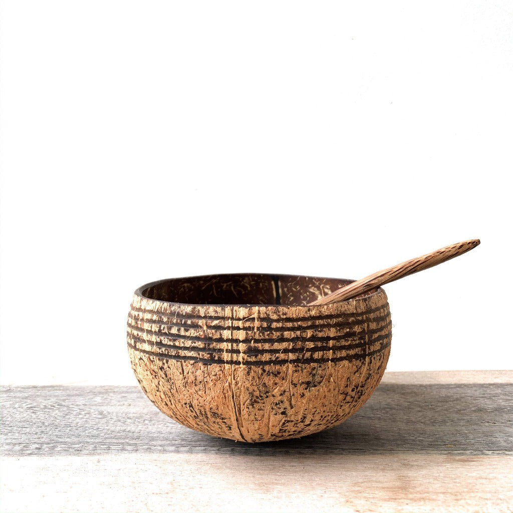 coconut bowl with coconut spoon