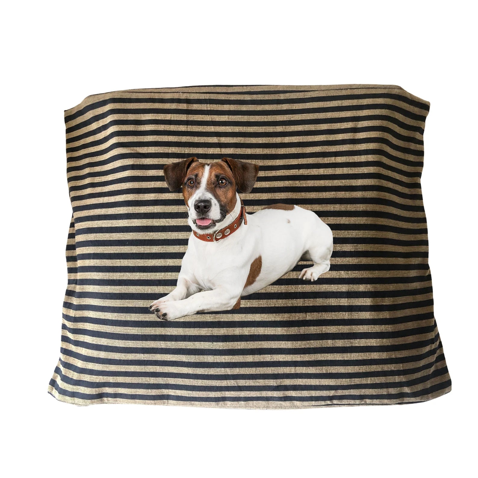 Sustainable Pet Pillow