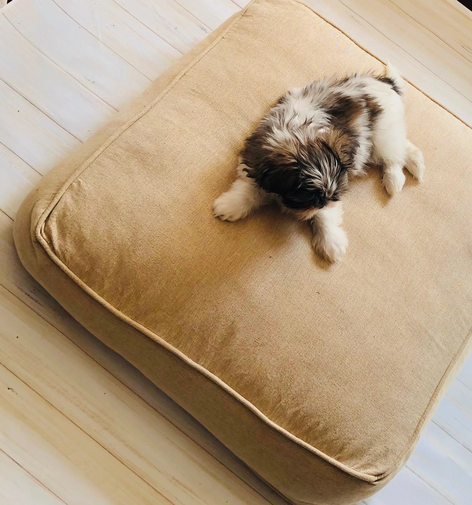 Sustainable Pet Pillow Covers 