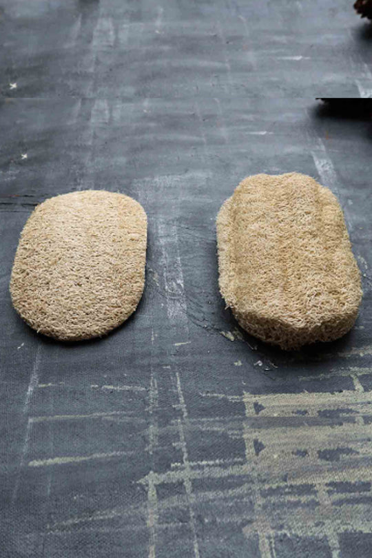 Loofah Dishwashing Sponge | Vegan Long Lasting Kitchen Sponge